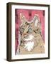 Poppet Cat IV-Ken Hurd-Framed Giclee Print