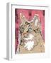 Poppet Cat IV-Ken Hurd-Framed Giclee Print