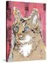 Poppet Cat IV-Ken Hurd-Stretched Canvas