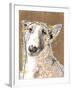 Poppet Dog III-Ken Hurd-Framed Giclee Print