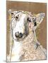 Poppet Dog III-Ken Hurd-Mounted Giclee Print