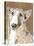 Poppet Dog III-Ken Hurd-Stretched Canvas