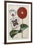 Poppies, 17th Century-null-Framed Giclee Print