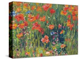 Poppies, 1888-Robert William Vonnoh-Stretched Canvas