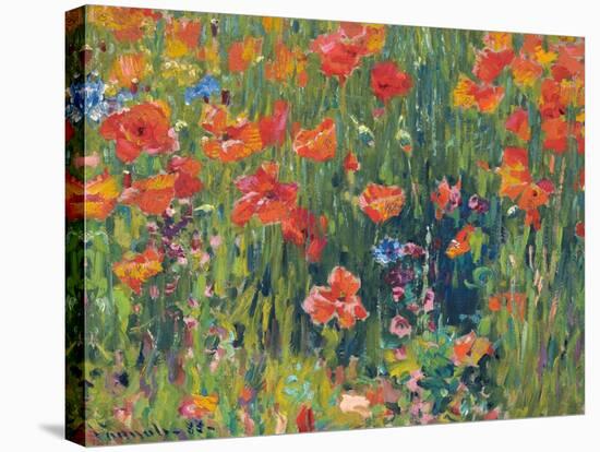 Poppies, 1888-Robert William Vonnoh-Stretched Canvas