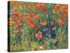 Poppies, 1888-Robert William Vonnoh-Stretched Canvas