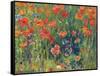 Poppies, 1888-Robert William Vonnoh-Framed Stretched Canvas