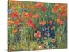 Poppies, 1888-Robert William Vonnoh-Stretched Canvas