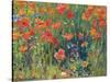 Poppies, 1888-Robert William Vonnoh-Stretched Canvas