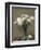 Poppies, 1891-Ignace Henri Jean Fantin-Latour-Framed Giclee Print