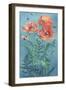 Poppies, 1916 (W/C on Paper)-Frank Steeley-Framed Giclee Print