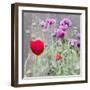 Poppies, 2018-Helen White-Framed Giclee Print