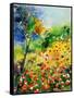 Poppies 5170-Pol Ledent-Framed Stretched Canvas