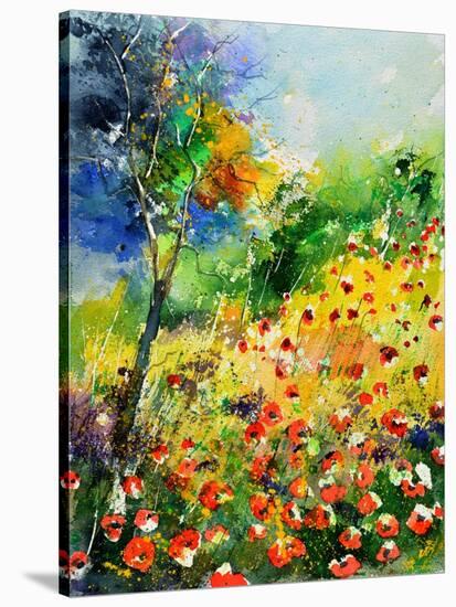 Poppies 5170-Pol Ledent-Stretched Canvas