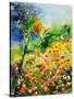 Poppies 5170-Pol Ledent-Stretched Canvas