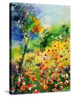 Poppies 5170-Pol Ledent-Stretched Canvas