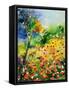 Poppies 5170-Pol Ledent-Framed Stretched Canvas
