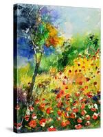 Poppies 5170-Pol Ledent-Stretched Canvas