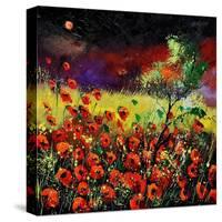 Poppies 7741-Pol Ledent-Stretched Canvas