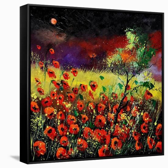 Poppies 7741-Pol Ledent-Framed Stretched Canvas