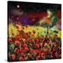 Poppies 7741-Pol Ledent-Stretched Canvas