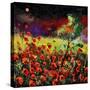 Poppies 7741-Pol Ledent-Stretched Canvas