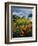 Poppies Along Coast CA USA-null-Framed Photographic Print