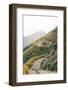 Poppies along the Walker Canyon Trail in Lake Elsinore, California-Jon Bilous-Framed Photographic Print