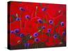 Poppies and Batchelor Buttons-John Newcomb-Stretched Canvas