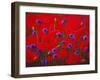 Poppies and Batchelor Buttons-John Newcomb-Framed Giclee Print