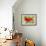 Poppies And Butterfly-Bill Makinson-Framed Giclee Print displayed on a wall