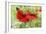 Poppies And Butterfly-Bill Makinson-Framed Giclee Print