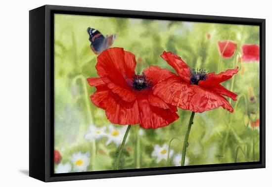 Poppies And Butterfly-Bill Makinson-Framed Stretched Canvas