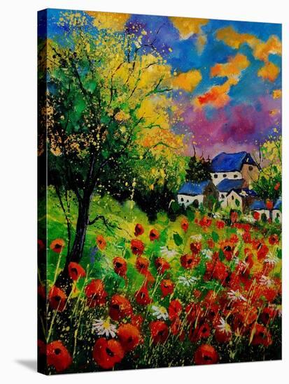 Poppies And Daisies 560110-Pol Ledent-Stretched Canvas