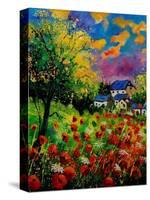 Poppies And Daisies 560110-Pol Ledent-Stretched Canvas