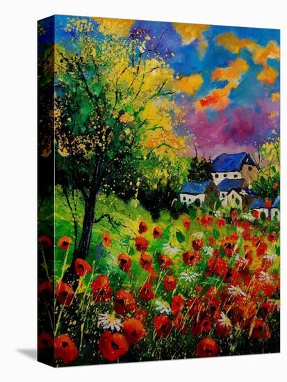 Poppies And Daisies 560110-Pol Ledent-Stretched Canvas