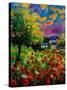 Poppies And Daisies 560110-Pol Ledent-Stretched Canvas