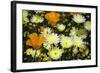 Poppies and Daisies-Janice Sullivan-Framed Giclee Print