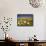 Poppies and Desert Dandelion in Spring Bloom, Lancaster, Antelope Valley, California, USA-Terry Eggers-Framed Stretched Canvas displayed on a wall