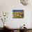 Poppies and Desert Dandelion in Spring Bloom, Lancaster, Antelope Valley, California, USA-Terry Eggers-Stretched Canvas displayed on a wall