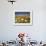 Poppies and Desert Dandelion in Spring Bloom, Lancaster, Antelope Valley, California, USA-Terry Eggers-Framed Photographic Print displayed on a wall