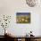 Poppies and Desert Dandelion in Spring Bloom, Lancaster, Antelope Valley, California, USA-Terry Eggers-Mounted Photographic Print displayed on a wall