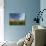 Poppies and Desert Dandelion Spring Bloom, Lancaster, Antelope Valley, California, USA-Terry Eggers-Photographic Print displayed on a wall