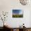 Poppies and Desert Dandelion Spring Bloom, Lancaster, Antelope Valley, California, USA-Terry Eggers-Photographic Print displayed on a wall