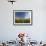 Poppies and Desert Dandelion Spring Bloom, Lancaster, Antelope Valley, California, USA-Terry Eggers-Framed Photographic Print displayed on a wall