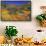 Poppies and Goldfields, Chino Hills State Park, California, United States of America, North America-Richard Cummins-Framed Stretched Canvas displayed on a wall