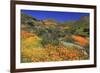 Poppies and Goldfields, Chino Hills State Park, California, United States of America, North America-Richard Cummins-Framed Photographic Print