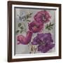 Poppies and Hummers-Bill Jackson-Framed Giclee Print