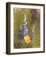 Poppies and Lupine-Trevor V. Swanson-Framed Giclee Print