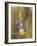 Poppies and Lupine-Trevor V. Swanson-Framed Giclee Print